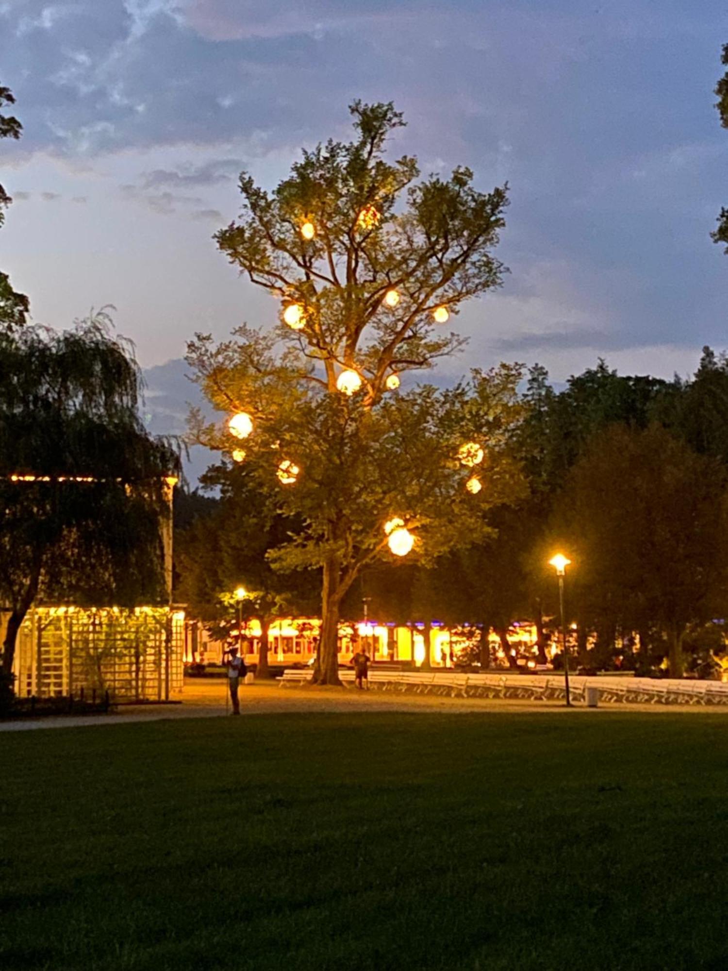 Fewo Roland Ranft Direkt Am Kurpark Barrierearm 60Qm Bad Elster Buitenkant foto