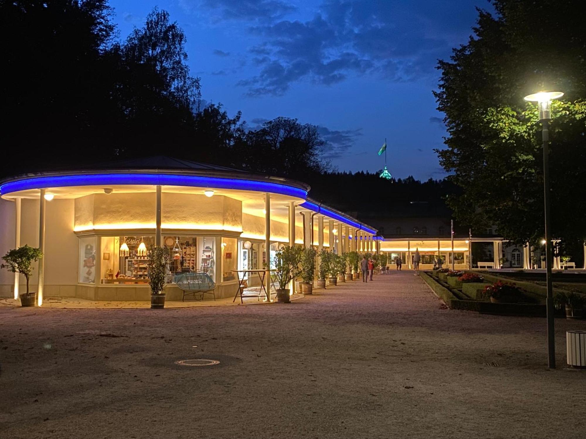 Fewo Roland Ranft Direkt Am Kurpark Barrierearm 60Qm Bad Elster Buitenkant foto